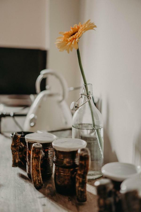 Center High Class 3 Bedroom Appartement Sofia